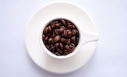 Coffee may disappear by the year 2050
