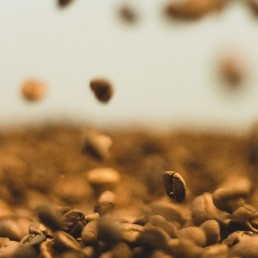 这杯咖啡比上一杯好喝？原因竟然是这个